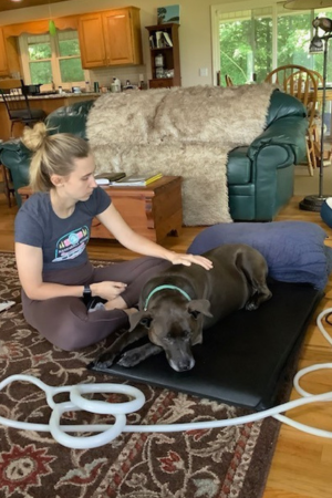 PEMF Therapy on dogs in NC - GH Wellness